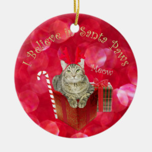 Adorno De Cerámica Creo en Santa Paws