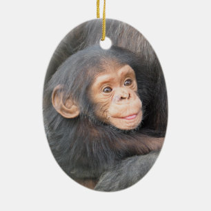 Adorno De Cerámica Cría de chimpancé