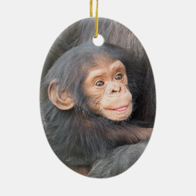 Adorno De Cerámica Cría de chimpancé (Atrás)