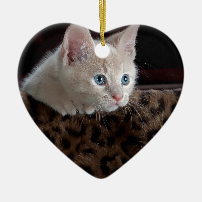 Adorno De Cerámica Criam Kitten con hermosos ojos azules (Frente)