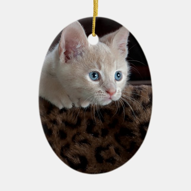 Adorno De Cerámica Criam Kitten con hermosos ojos azules (Frente)
