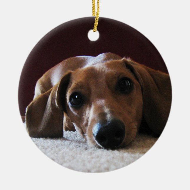 Adorno De Cerámica crockettsperfectpic (Frente)