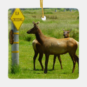 Adorno De Cerámica Cruce de Alces en la Vida Silvestre de California