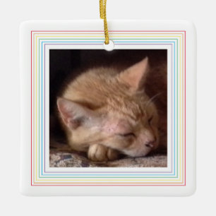 Adorno de cerámica cuadrado PET LOVE / Arcoíris
