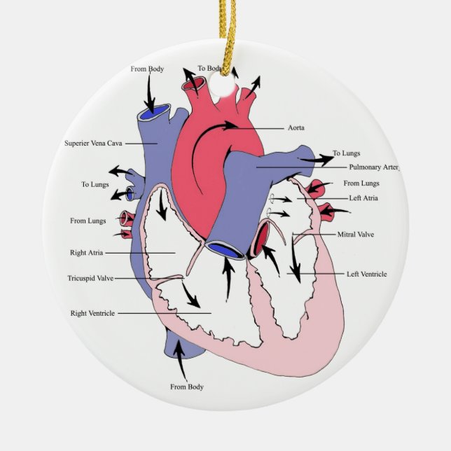 Adorno De Cerámica Cuadro 2. corazón normal Function.jpg (Frente)
