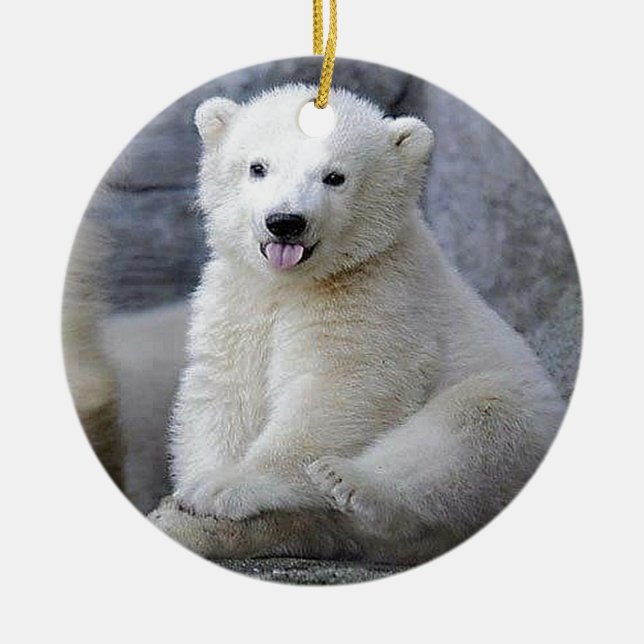 Adorno De Cerámica Cubo de oso polar (Frente)