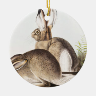 Adorno De Cerámica Cuenca de la Montaña Rocosa de Townsend (Lepus Tow
