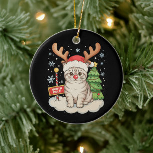 Adorno De Cerámica Cuernos de Reno de Gato Árbol de Navidad Xmas Fies