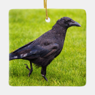 Adorno De Cerámica Cuervo negro