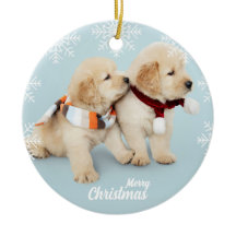 Cuidados Merry Christmas dorados retriever cachorr