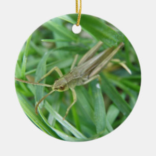 Adorno De Cerámica Cumpleaños del Personalizado Grasshopper