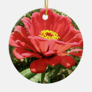 Adorno De Cerámica Cumpleaños del Personalizado Red Zinnia