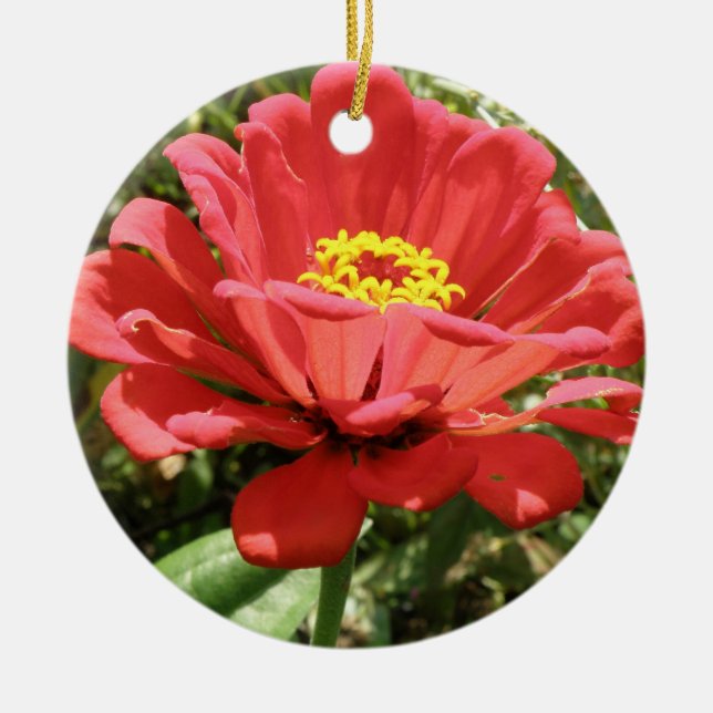 Adorno De Cerámica Cumpleaños del Personalizado Red Zinnia (Frente)