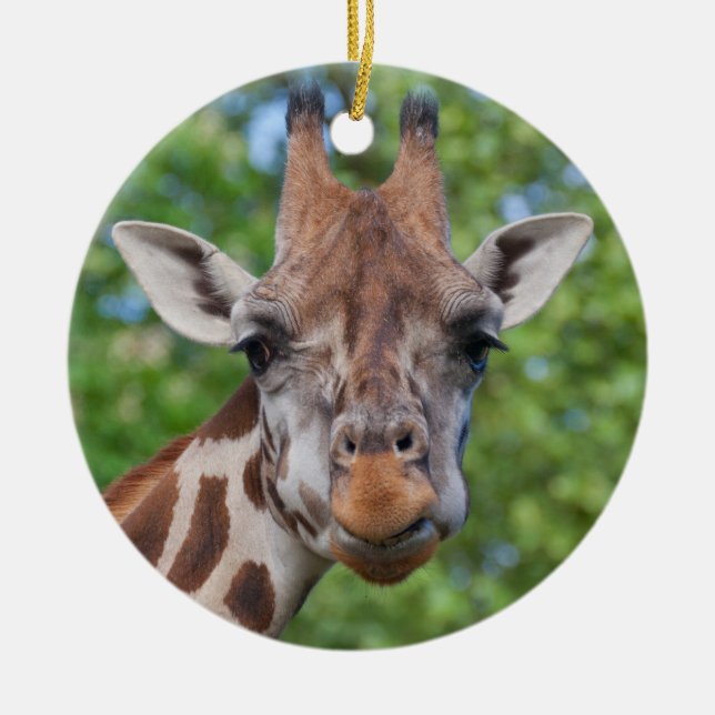 Adorno De Cerámica Curios Giraffe (Frente)