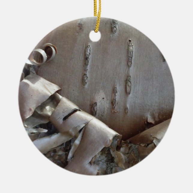 Adorno De Cerámica Curly Birch Bark Tree Rustic Ornament (Frente)