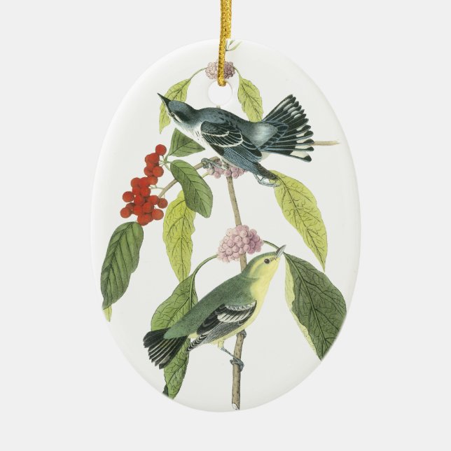 Adorno De Cerámica Curruca cerúlea, Juan Audubon (Frente)