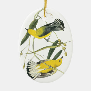 Adorno De Cerámica Curruca del protonotario, Juan Audubon
