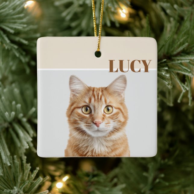Adorno De Cerámica Custom Christmas Photo Ornament Cat & Name (Árbol)