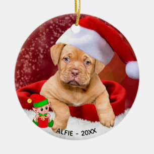 Adorno De Cerámica Custom Pitbull Puppy Dog Photo with Cute Elf