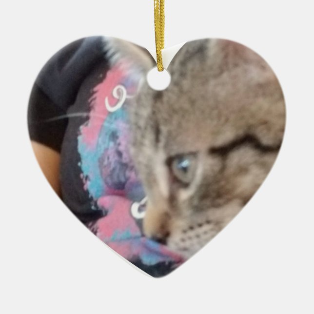 Adorno De Cerámica Custom Who Rescued Who Pet Name  (Frente)