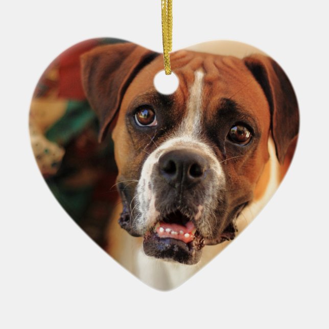 Adorno De Cerámica Cute Boxer (Frente)
