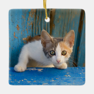 Adorno De Cerámica Cute Calico Cat Kitten Graciosa Y Curiosa Foto '