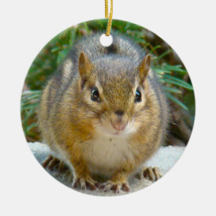 Adorno De Cerámica Cute Chipmunk Tiene La Vista En Ti