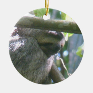 Adorno De Cerámica Cute Costa Rica Sloth Ornament