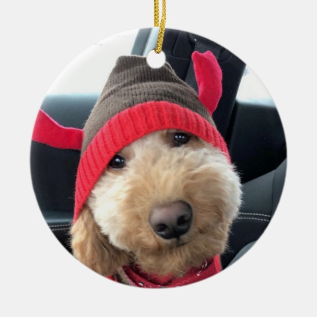 Adorno De Cerámica Cute Goldendoodle en el traje de sus Navidades (Frente)