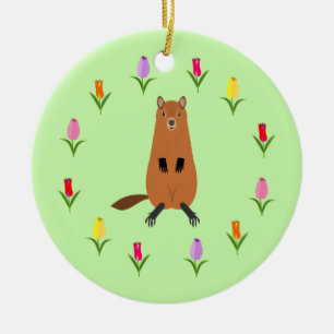 Adorno De Cerámica Cute Groundhog y Tulip Flowers