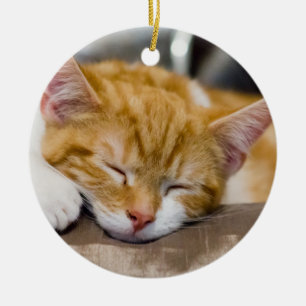 Adorno De Cerámica Cute Kitten