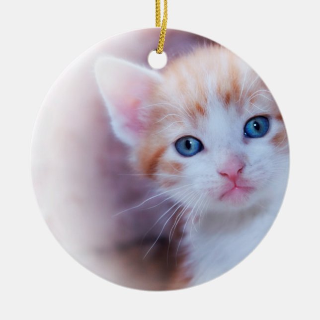 Adorno De Cerámica Cute Kitten 1 foto (Frente)