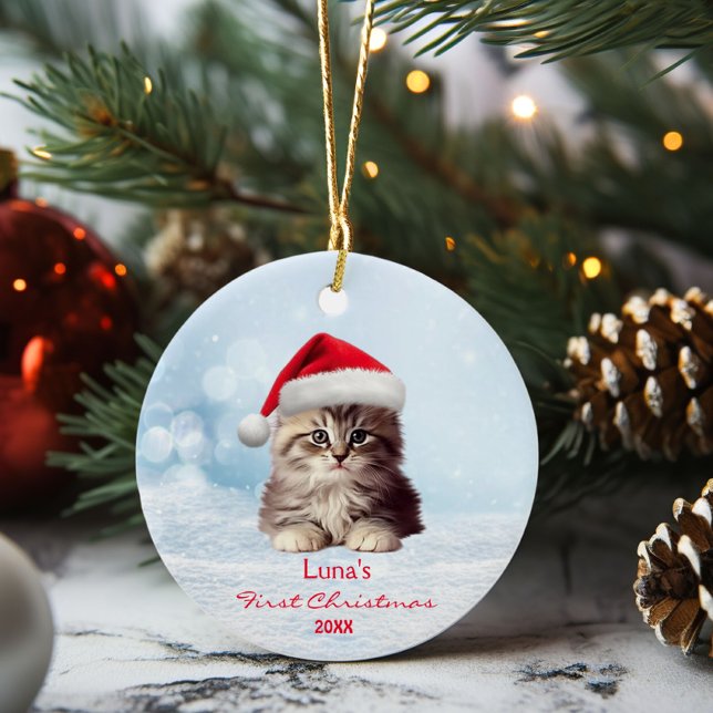 Adorno De Cerámica Cute Maine Coon Cat Santa Hat Nieve personalizada (Subido por el creador)
