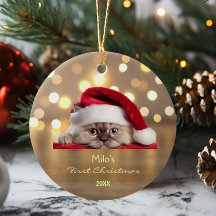 Cute Ragdoll Cat Santa Hat Paw Gold Personalizado