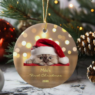 Adorno De Cerámica Cute Ragdoll Cat Santa Hat Paw Gold Personalizado