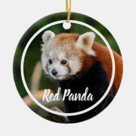 Adorno De Cerámica Cute Red Panda Frame