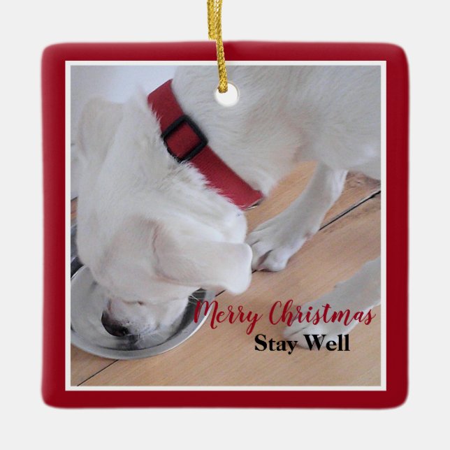 Adorno De Cerámica Cute White Dog Drinking Water Red Christmas Square (Anverso)