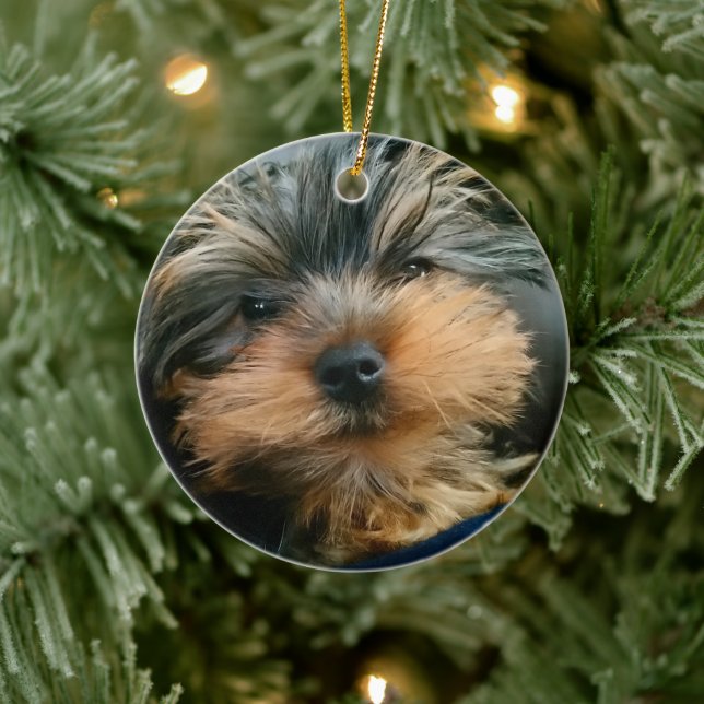 Adorno De Cerámica Cute Yorkshire Terrier Yorkie Perro Cuppy (Árbol)