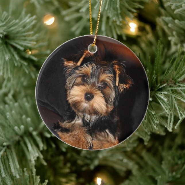 Adorno De Cerámica Cute Yorkshire Terrier Yorkie Perro Cuppy (Árbol)