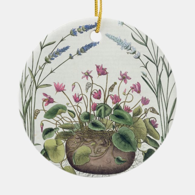 Adorno De Cerámica Cyclamen y lavanda: 1.Cyclamen Romanum; 2.Spica (Frente)