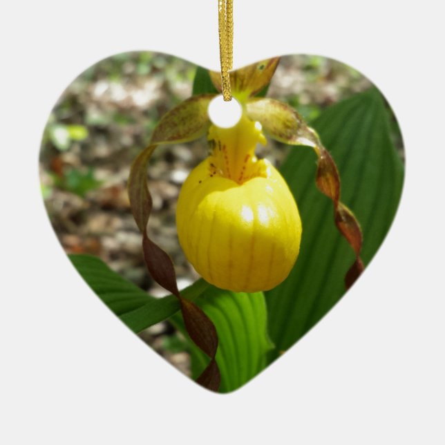 Adorno De Cerámica Cypripedium amarillo grande de señora deslizador (Frente)
