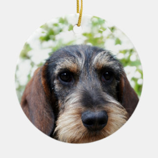Adorno De Cerámica Dachshund cabelludo del alambre miniatura