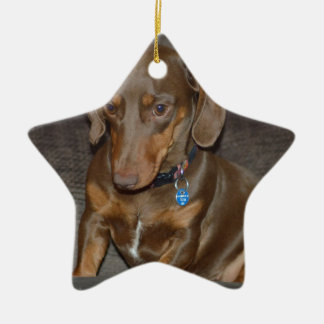 Adorno De Cerámica Dachshund del chocolate