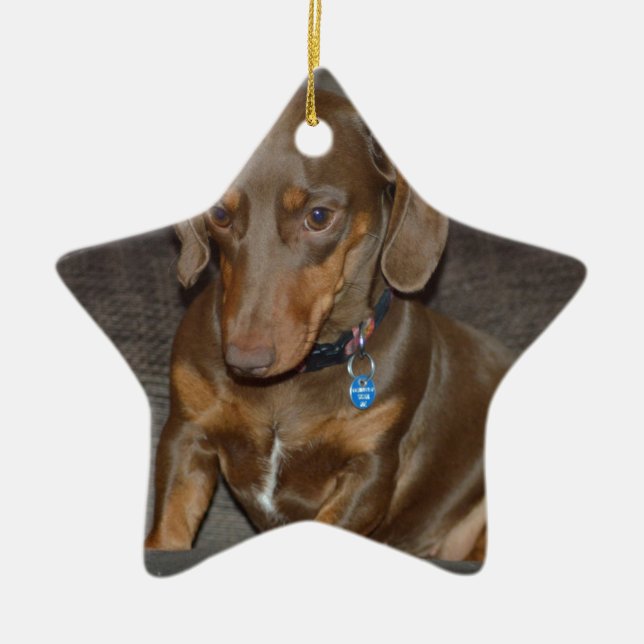 Adorno De Cerámica Dachshund del chocolate (Frente)