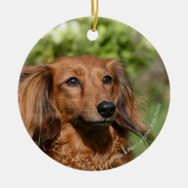 Adorno De Cerámica Dachshund miniatura de pelo largo rojo (Frente)
