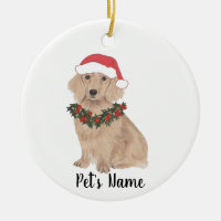 Dachshund personalizado (largo haitiano, rojo)