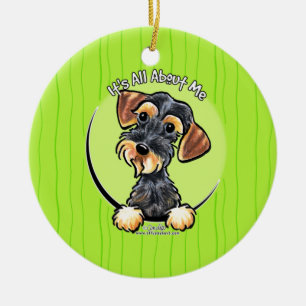 Adorno De Cerámica Dachshund Wirehaired IAAM del jabalí