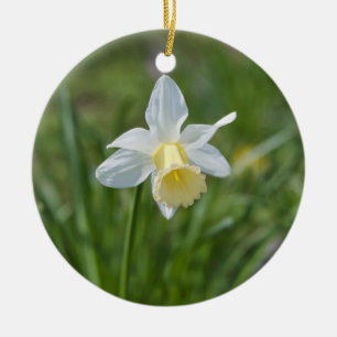 Adorno De Cerámica Daffodil
