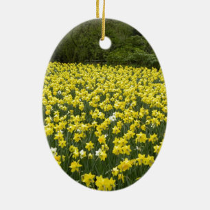 Adorno De Cerámica Daffodils galeses, Cymru am by