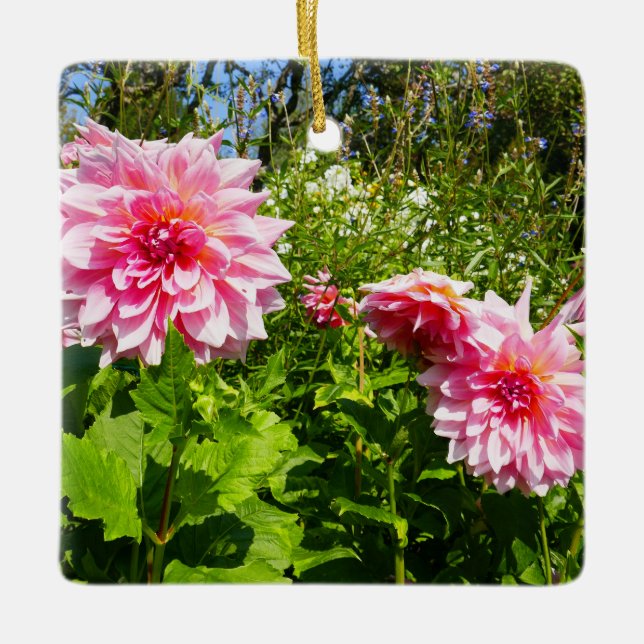 Adorno De Cerámica Dahlias rosadas (gota de Otto) (Anverso)